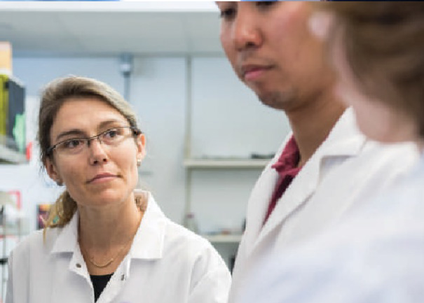 Professor works with two researchers in a lab