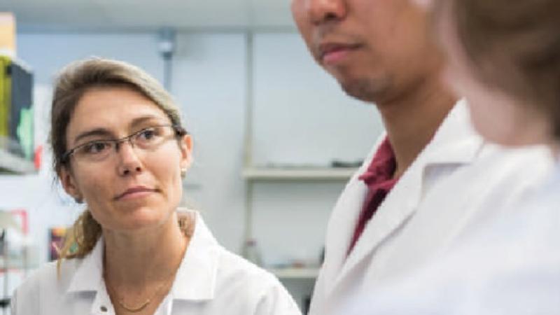 Professor works with two researchers in a lab